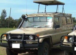 Extended Landcruiser