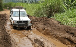 Roads in Congo